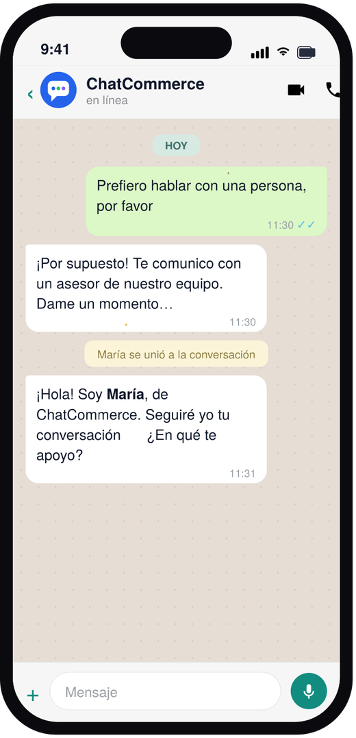 Asesor humano